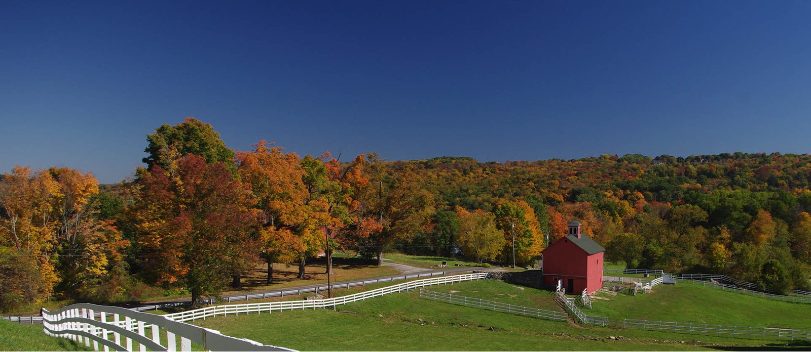 Curious About Barns